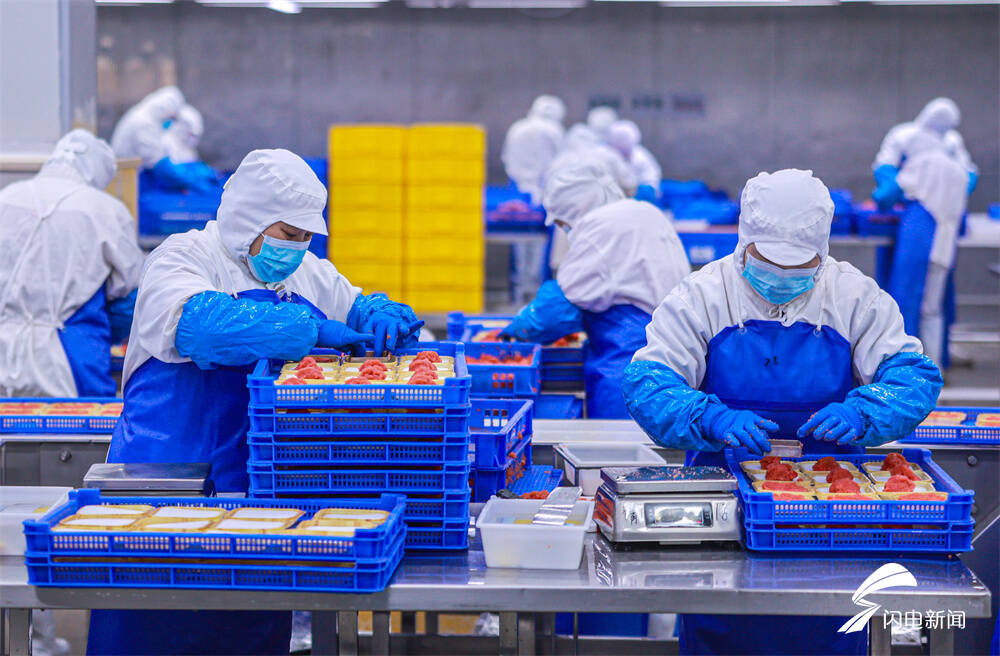 山东荣成 水产品出口加工忙，食品产业驶入“深蓝”快车道